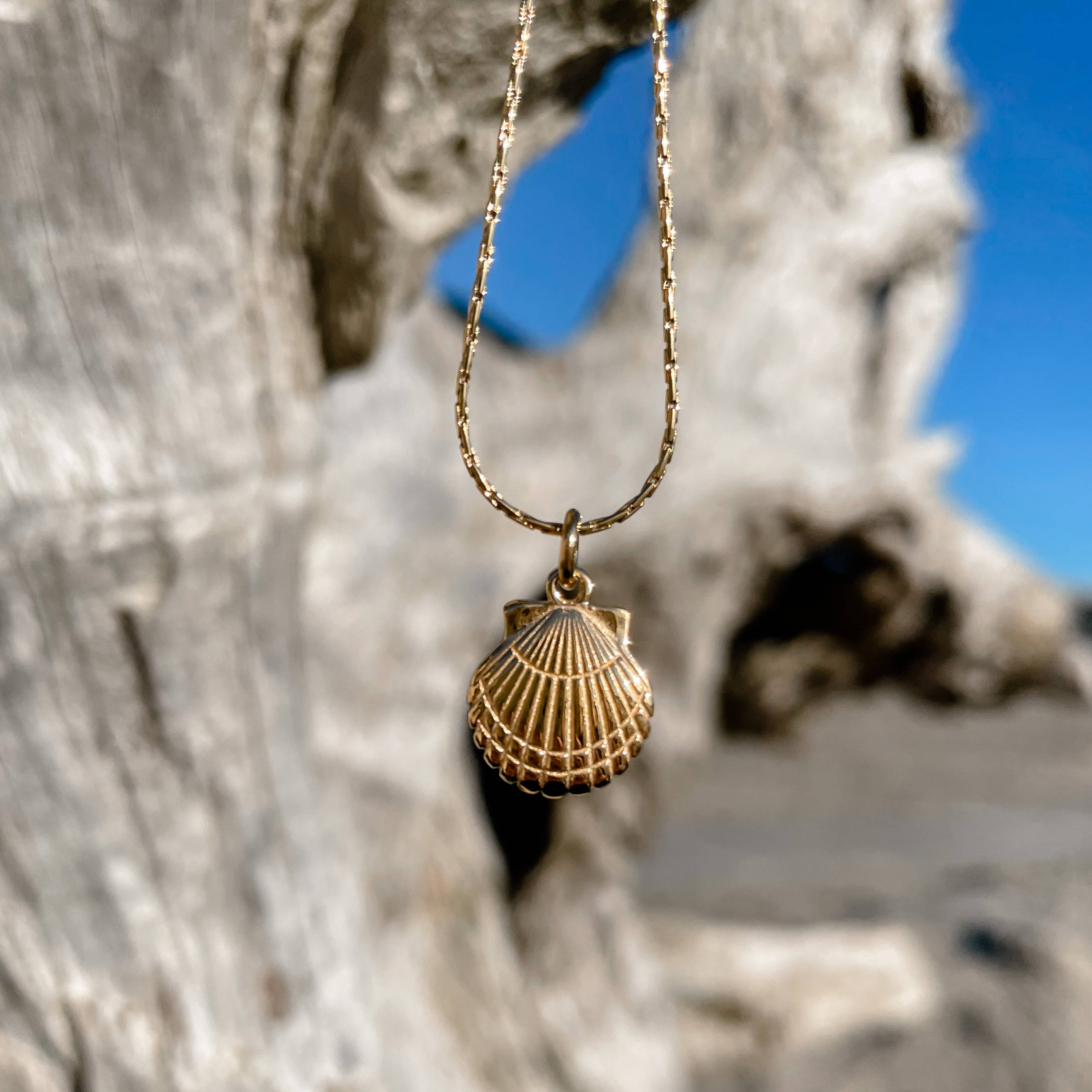 Halskette Ocean Shell Silber oder Gold