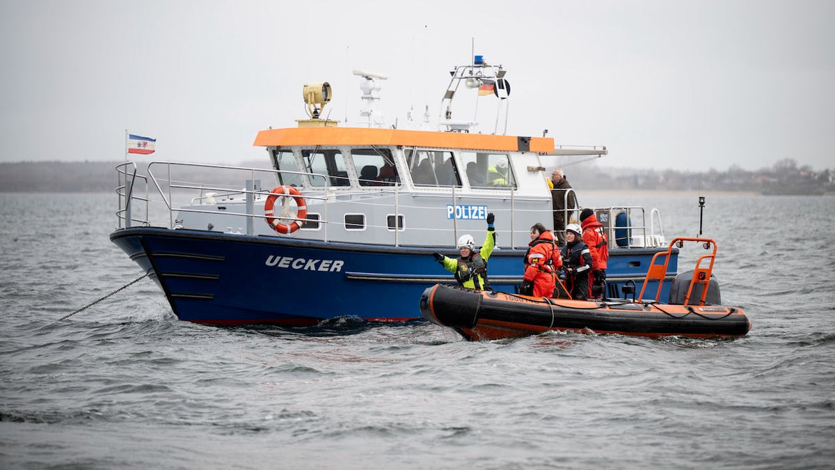 Buckelwal in Bucht von Wismar. Foto: dpa