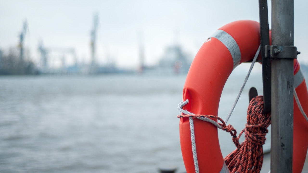 DLRG rettet Segler in Wintersturm Elli auf Elbe in Hamburg