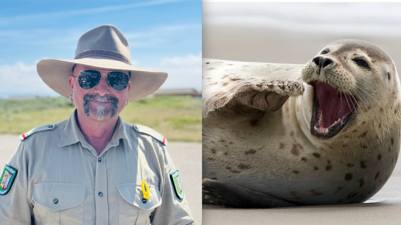 Stefans Geschichten vom Meer: Der Dünenranger von Helgoland