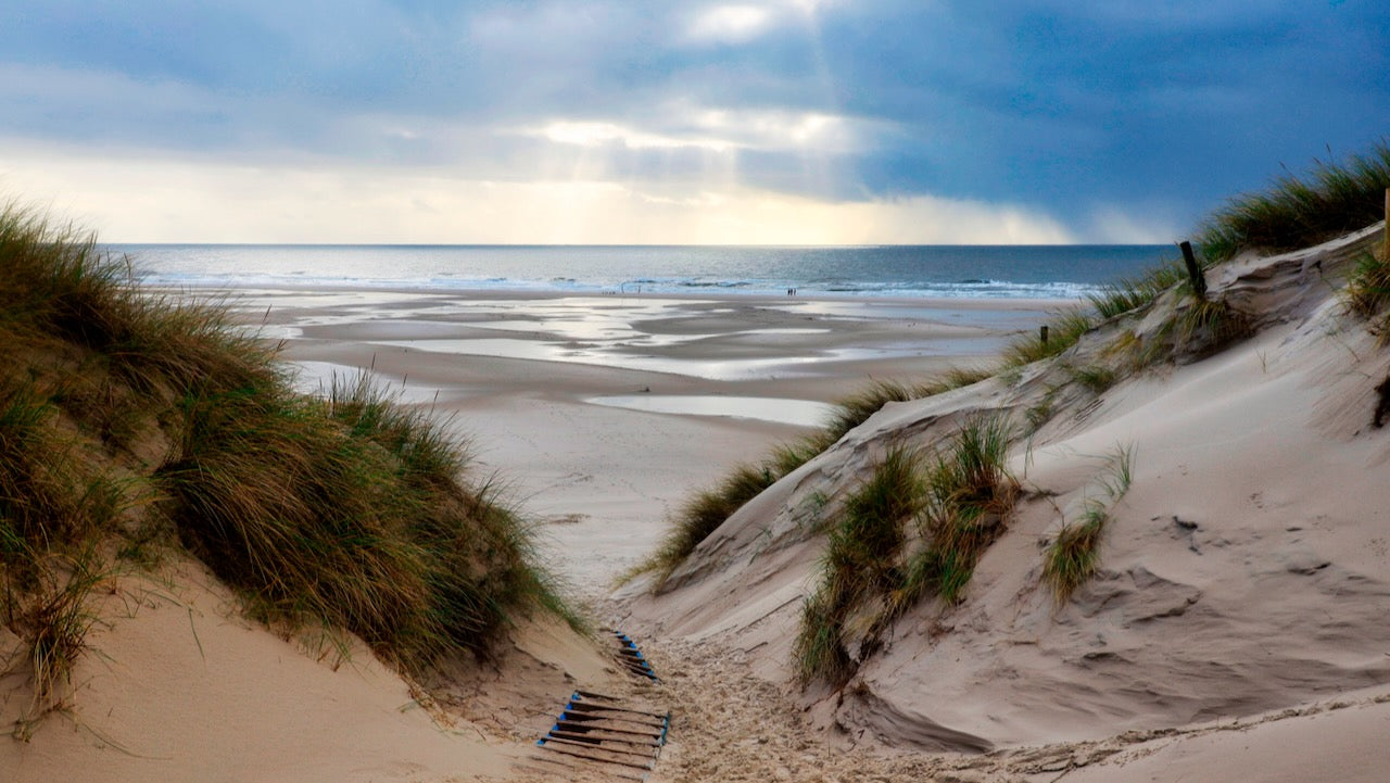 Amrum