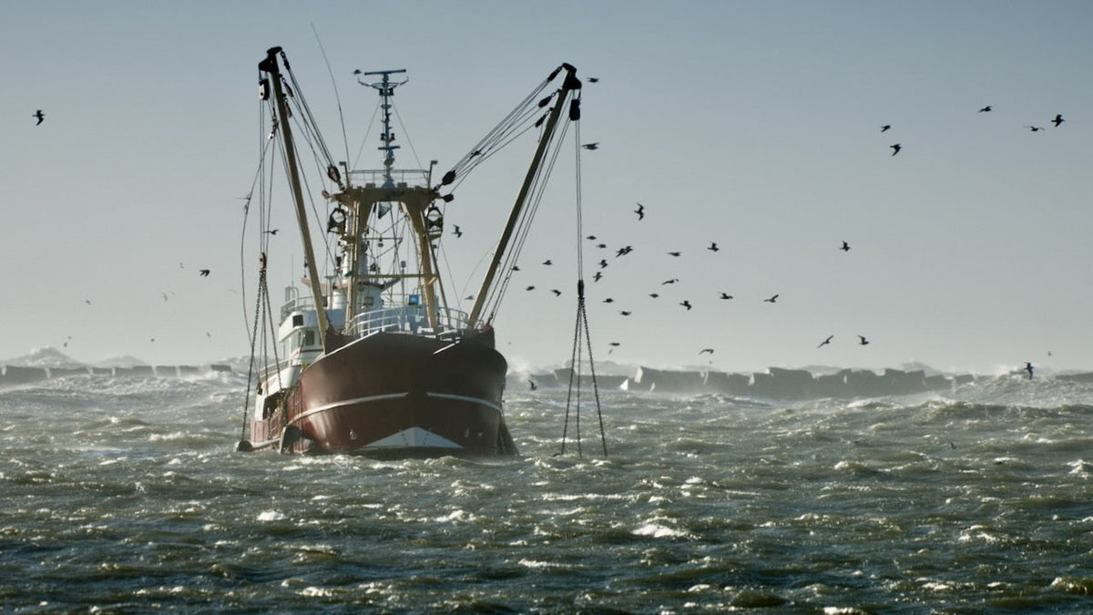 Trawler. Foto: Adobe Stock im Ankerherz Blog