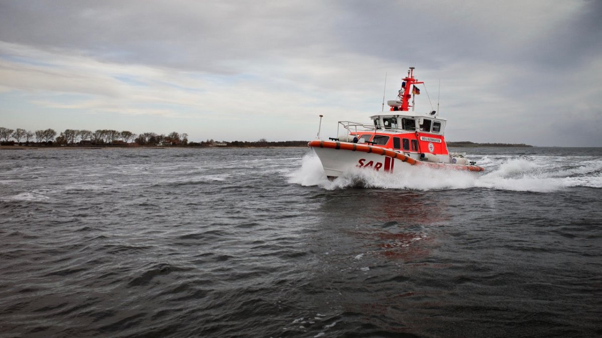 Giftiger Fisch sticht Angler vor der Insel Fehmarn - Ankerherz Verlag