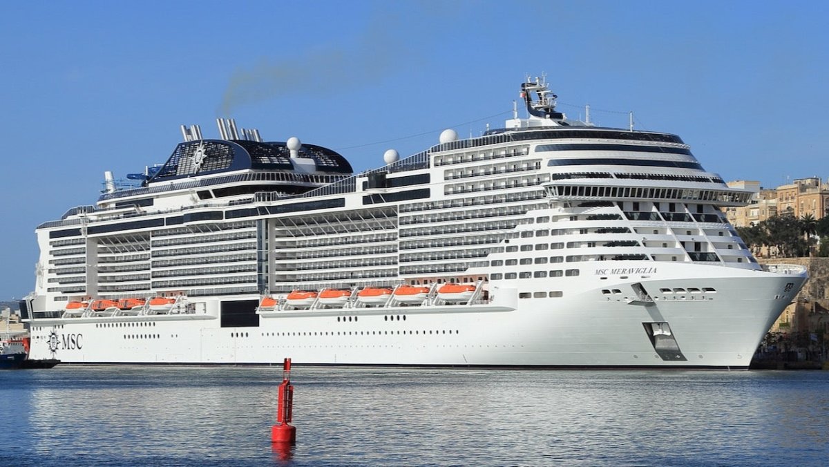 Kreuzfahrtschiff läuft mit totem Wal in New York City ein - Ankerherz Verlag