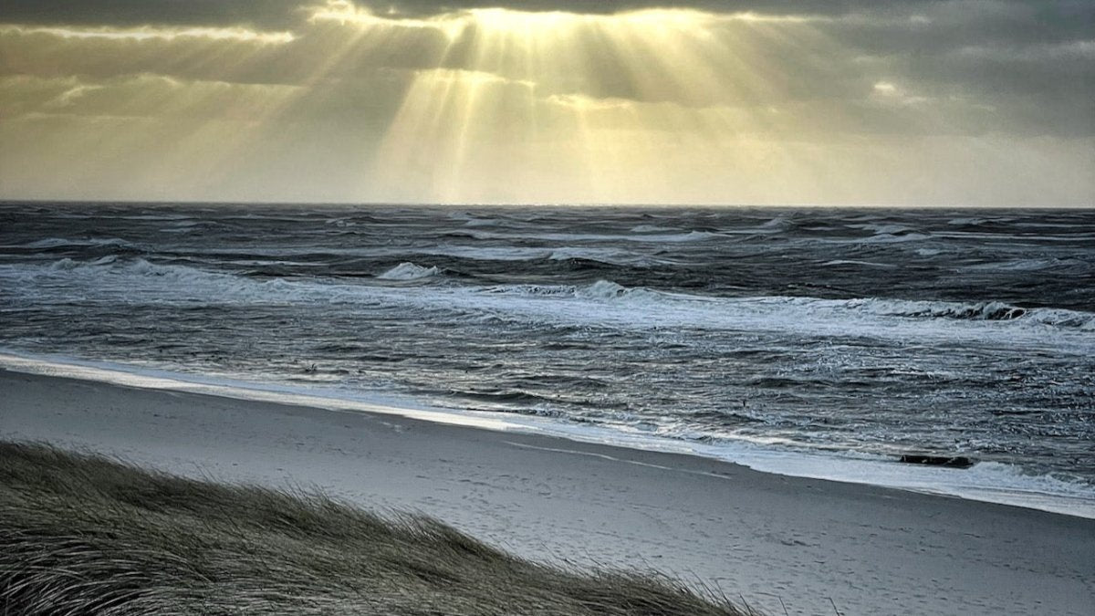 Leiche auf Sylt entdeckt – Mordkommission ermittelt auf der Insel - Ankerherz Verlag