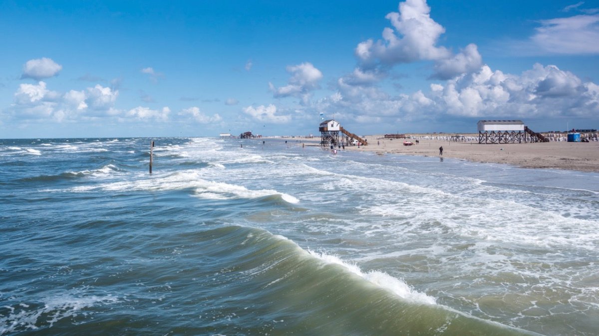Sankt Peter-Ording: Eltern mit Kindern und Hund von Sandbank gerettet - Ankerherz Verlag