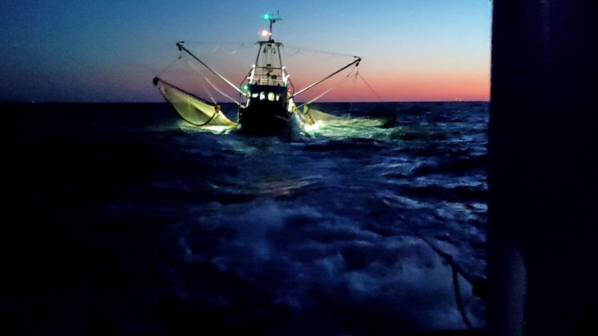 Seenotretter helfen Fischern vor Langeoog und Rehen vor Büsum - Ankerherz Verlag