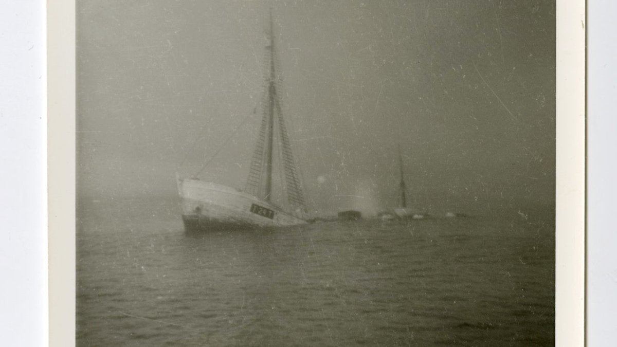 Shackleton und sein letztes Geheimnis: Wrack der Quest entdeckt - Ankerherz Verlag