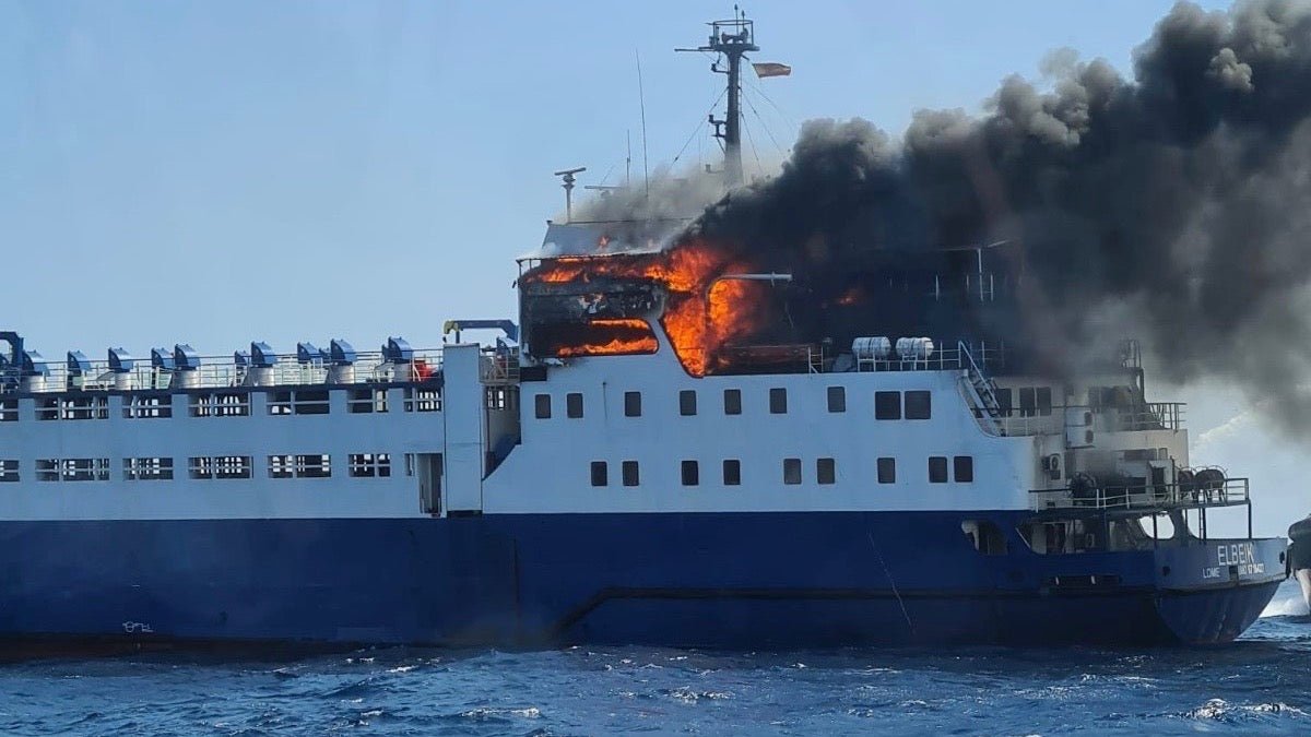 Skandal: Tiertransporter brennt vor spanischem Hafen - Ankerherz Verlag
