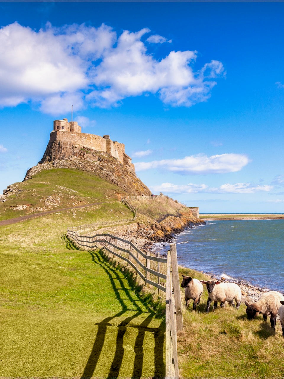 Holy Island TOUR - raues Northumberland 23.-30.10.2026