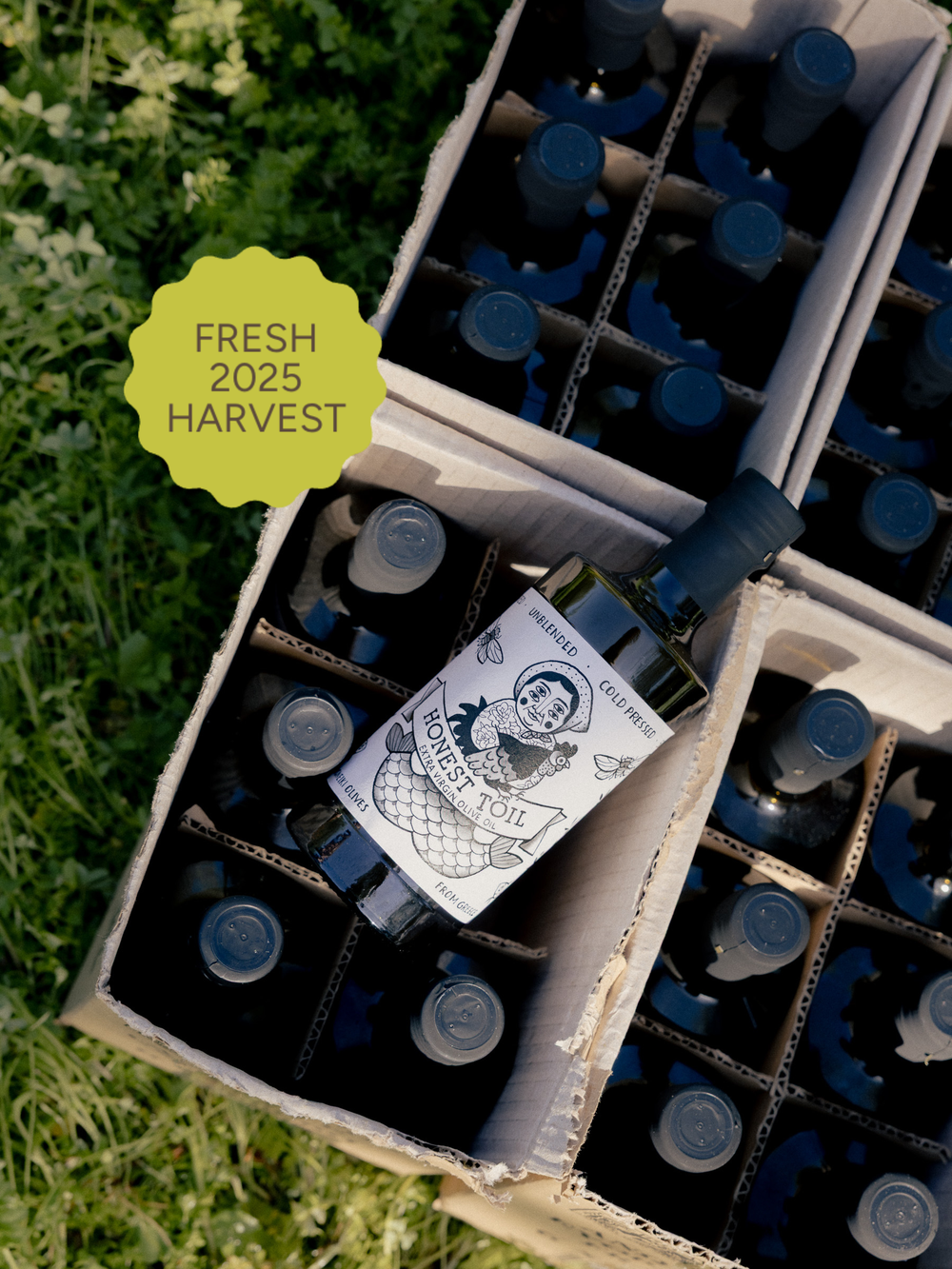 Honest Toil Olivenöl Frische Ernte 500 ml