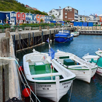 Helgoland-Tour mit Bootsausflug - 25. Mai 2024 - Ankerherz Verlag