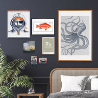 Poster Goldfisch ab 21x30 - Ankerherz Verlag