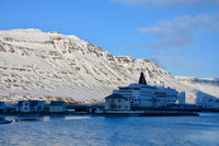 SKUA-TOUR November 2024 - Mit dem Schiff nach Island - Ankerherz Verlag