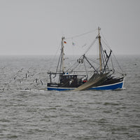 Tagesausflug nach Helgoland, Sonntag 21. Juni